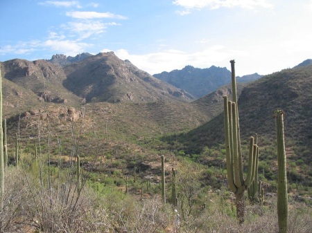 Sabino Canyon near where we live