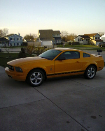 The 'stang