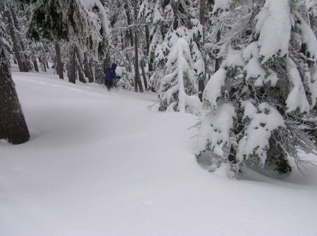 Willamette Pass Powder Skiing 3/8/09