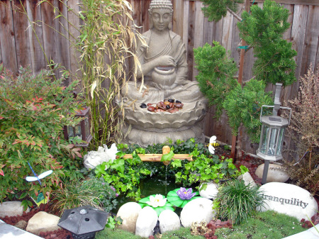 A section of my Zen Garden