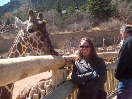 me feeding a giraffe