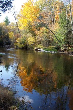 Autumn at the river