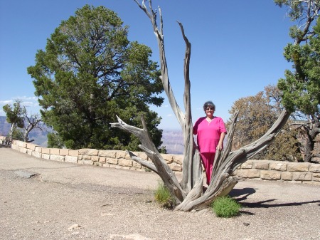 Grand Canyon Trip 2006