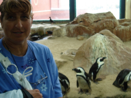 Selma (left) and penquins in Cape Town