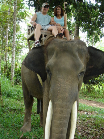 Bali elephant park '06