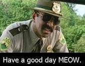 Super Troopers