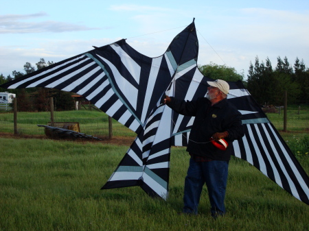 John Robinson's album, Kites