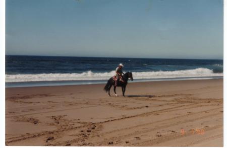 DENNIS AT THE BEACH, ON HIS HORSE HARLEY