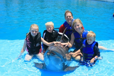 Swimmin' with the Dolphins