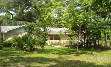 My house in Melrose