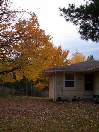 Fall in Wisconsin