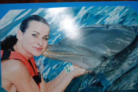 Swiming with the Dolphins