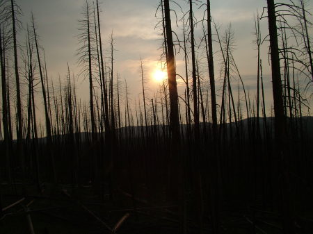 Yellowstone sunset