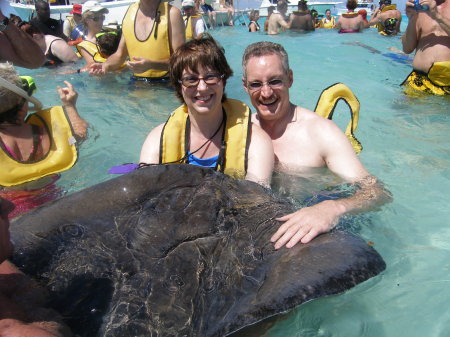 Swimming with stingrays off of Grand Caymen