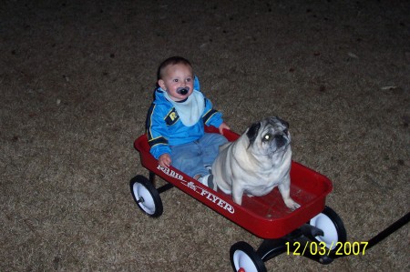 Austin and Pugsley on a wagon ride