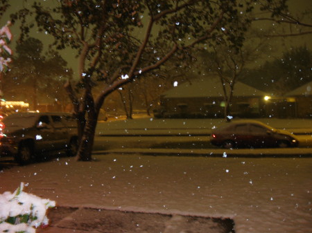 Snow in the front yard