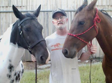 Two horses and an old goat