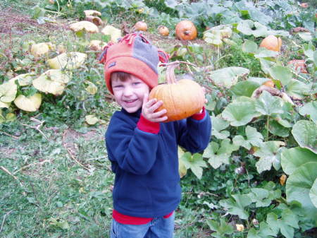Seaton picking a halloween pumpkin