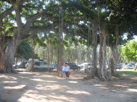 Under the trees in Hawaii