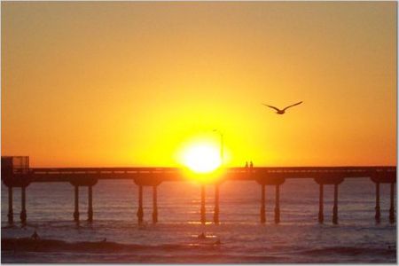 Ocean Beach Pier, my vacation