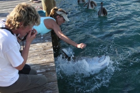 Tarpon time!