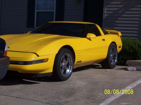 MY 96 YELLOW VET