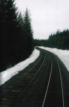 On a train in the Cascades in Oregon