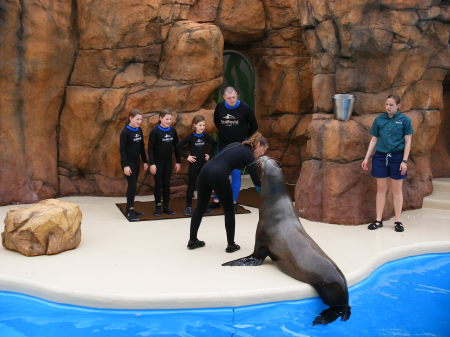 Sea World-Sea Lion Interaction Program '07