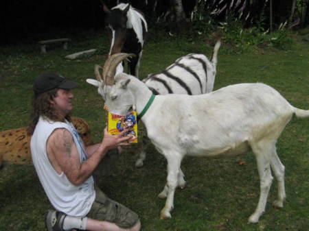 Hubby and Goats