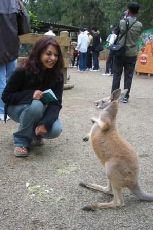 In Australia, in November 2005