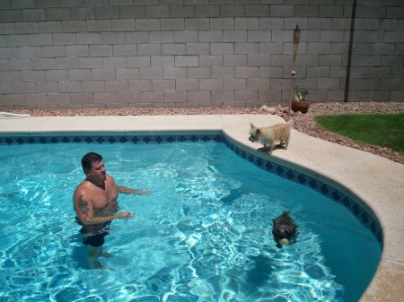 playing with the dogs in the pool