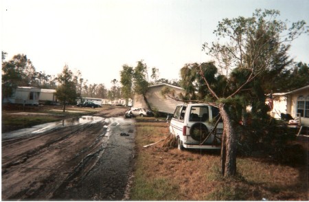Our street after Katrina
