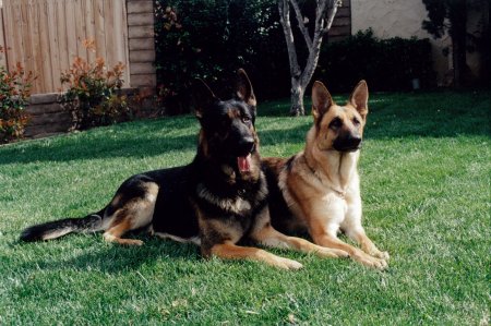 Rommel and Sarah wait for the kitty...