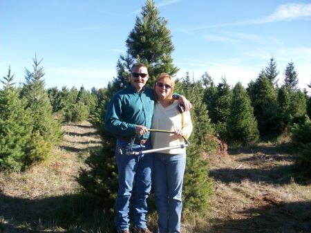 AT THE TREE LOT IN APPLE HILL