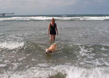 Shanna Surfing - Dog's Beach  9-14-05