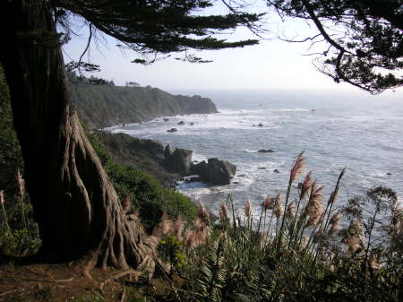 Camping on the Central Ca. Coast