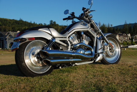Harley V-Rod