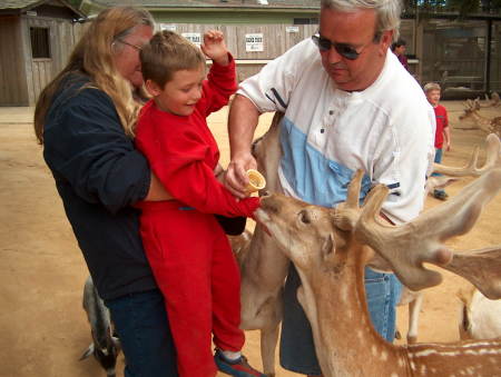 Feeding the Animals