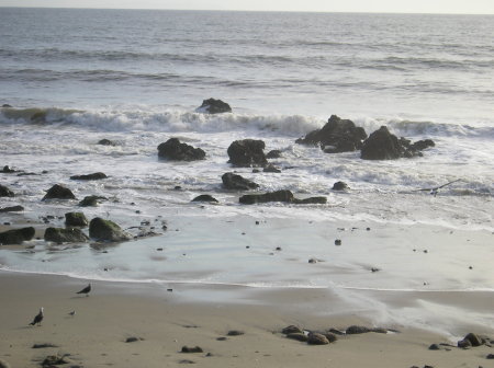 California Beach on The PCH