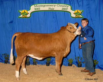 2007 Montgomery Co. Fair Replacement Heifer