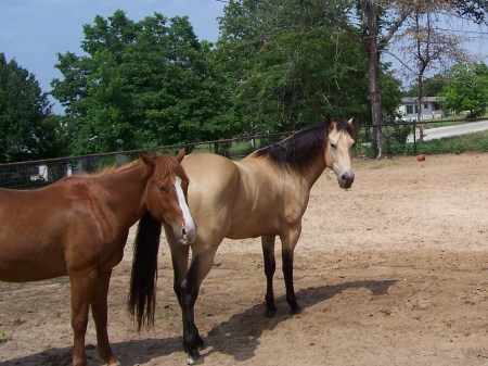 My husbands horse and my baby before he left for training