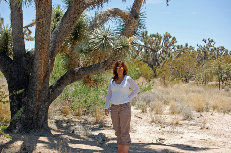 Me in Arizona by a Joshua Tree