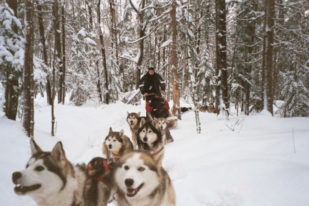 mushing