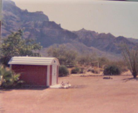 My backyard in Arizona