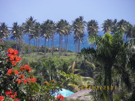 Dominican Republic - View from our room.