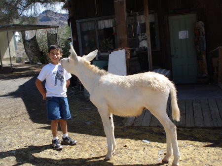 oatman 030