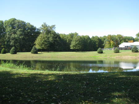 Little pond - front view