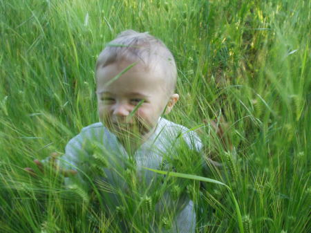 Gavin in the barley field