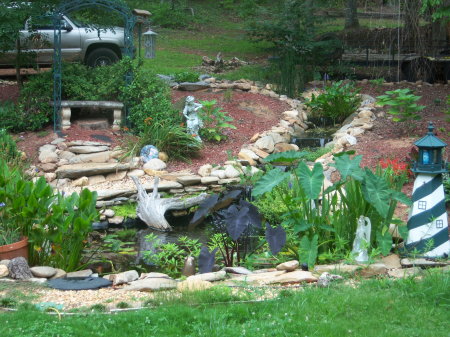 A full view of my pond