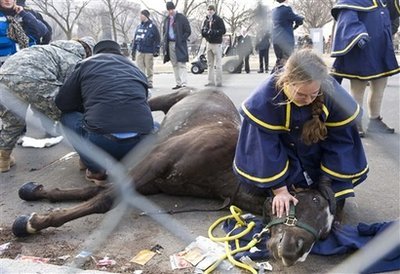 Inauguration Parade 2009 - Horse Rescue